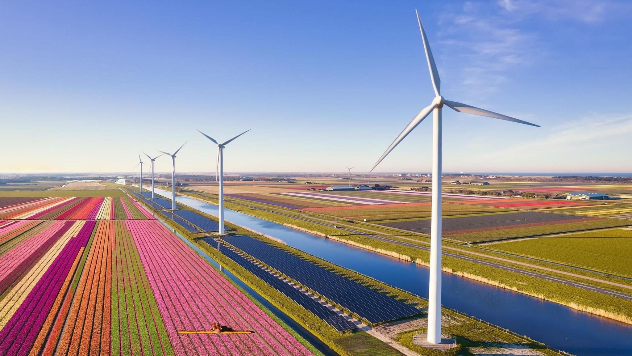 Aerial view: tulip fields, canal, wind turbines and solar panels